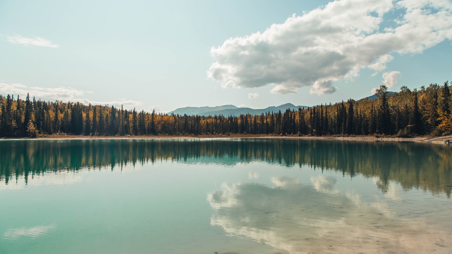 2025足球世俱杯官网-北京鸭与辽宁队季后赛激烈交锋，北京鸭篮球战绩